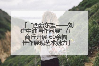 “西渡东望——刘建中油画作品展”在商丘开展 60余幅佳作展现艺术魅力
