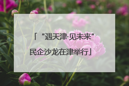 “遇天津·见未来”民企沙龙在津举行
