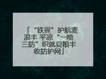 “铁翼”护航麦浪丰 平凉“一喷三防”织就夏粮丰收防护网