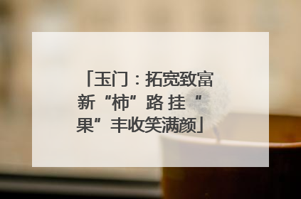 玉门：拓宽致富新“柿”路 挂“果”丰收笑满颜