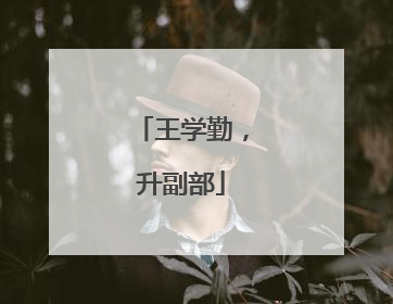 王学勤，升副部