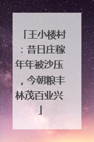 王小楼村：昔日庄稼年年被沙压，今朝粮丰林茂百业兴