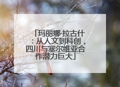 玛丽娜·拉古什：从人文到科创，四川与塞尔维亚合作潜力巨大
