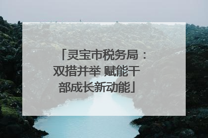 灵宝市税务局：双措并举 赋能干部成长新动能