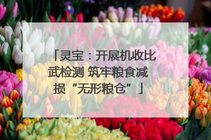 灵宝：开展机收比武检测 筑牢粮食减损“无形粮仓”