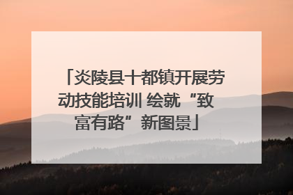 炎陵县十都镇开展劳动技能培训 绘就“致富有路”新图景