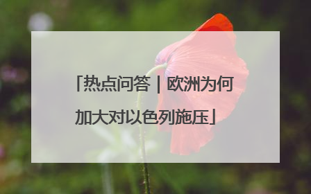热点问答｜欧洲为何加大对以色列施压