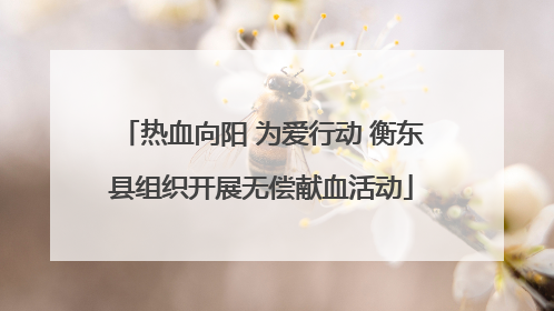 热血向阳 为爱行动 衡东县组织开展无偿献血活动