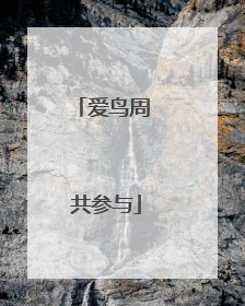 爱鸟周 共参与