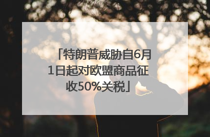 特朗普威胁自6月1日起对欧盟商品征收50%关税