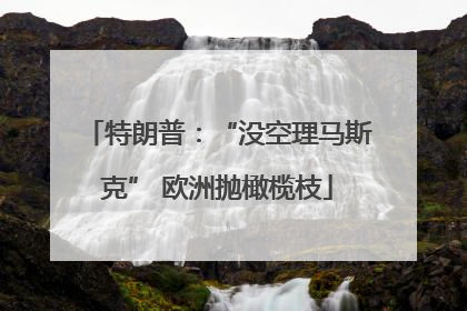 特朗普：“没空理马斯克” 欧洲抛橄榄枝