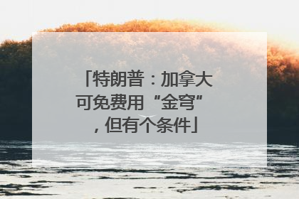 特朗普：加拿大可免费用“金穹”，但有个条件