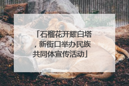 石榴花开耀白塔，新街口举办民族共同体宣传活动