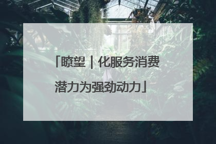 瞭望｜化服务消费潜力为强劲动力