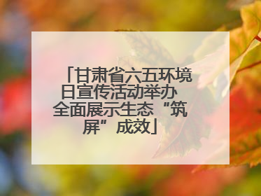 甘肃省六五环境日宣传活动举办 全面展示生态“筑屏”成效