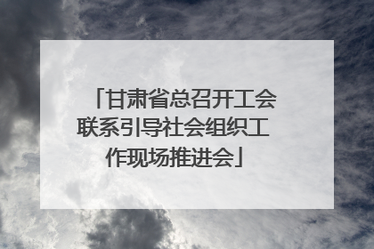 甘肃省总召开工会联系引导社会组织工作现场推进会