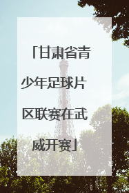 甘肃省青少年足球片区联赛在武威开赛