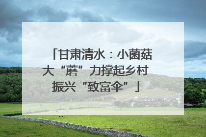 甘肃清水：小菌菇大“蘑”力撑起乡村振兴“致富伞”