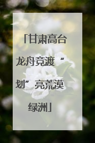甘肃高台龙舟竞渡“划”亮荒漠绿洲