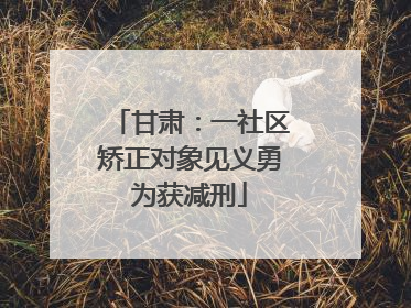甘肃：一社区矫正对象见义勇为获减刑