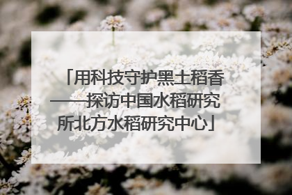 用科技守护黑土稻香——探访中国水稻研究所北方水稻研究中心