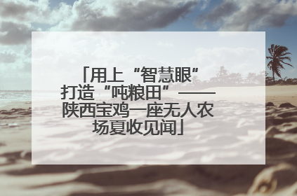 用上“智慧眼” 打造“吨粮田”——陕西宝鸡一座无人农场夏收见闻