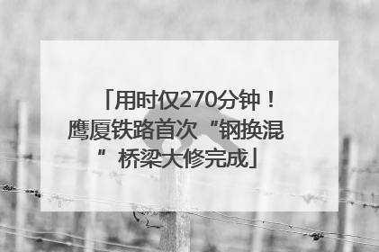 用时仅270分钟！鹰厦铁路首次“钢换混”桥梁大修完成