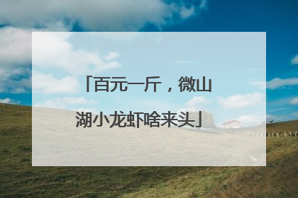 百元一斤，微山湖小龙虾啥来头