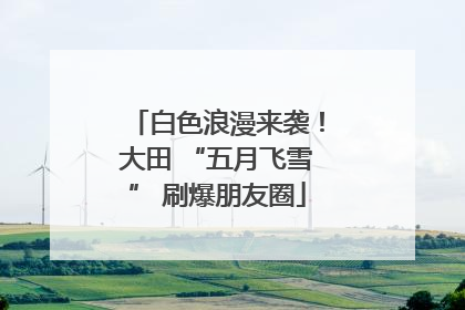白色浪漫来袭！大田 “五月飞雪” 刷爆朋友圈