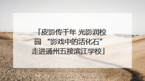 皮影传千年 光影润校园 “影戏中的活化石”走进通州五接滨江学校
