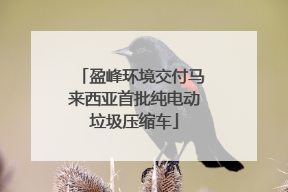 盈峰环境交付马来西亚首批纯电动垃圾压缩车