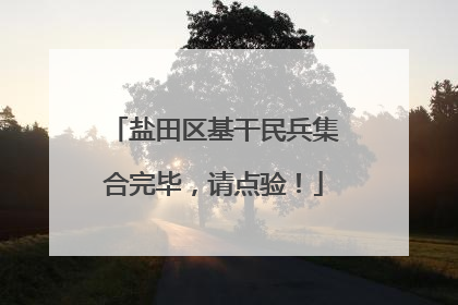 盐田区基干民兵集合完毕，请点验！