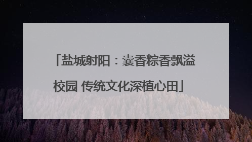 盐城射阳：囊香粽香飘溢校园 传统文化深植心田