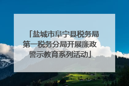 盐城市阜宁县税务局第一税务分局开展廉政警示教育系列活动
