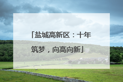 盐城高新区：十年筑梦，向高向新