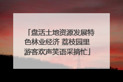 盘活土地资源发展特色林业经济 荔枝园里游客欢声笑语采摘忙