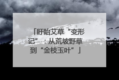 盱眙艾草“变形记”：从荒坡野草到“金枝玉叶”