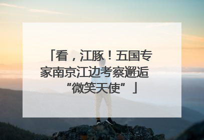 看，江豚！五国专家南京江边考察邂逅“微笑天使”