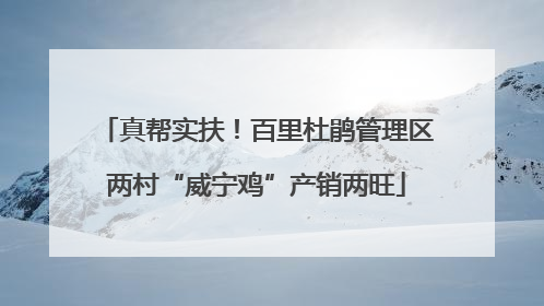 真帮实扶！百里杜鹃管理区两村“威宁鸡”产销两旺