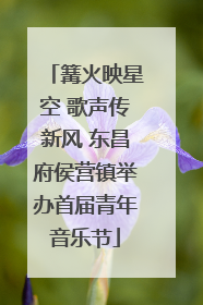篝火映星空 歌声传新风 东昌府侯营镇举办首届青年音乐节
