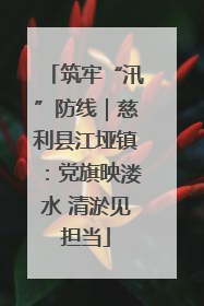 筑牢“汛”防线｜慈利县江垭镇：党旗映溇水 清淤见担当