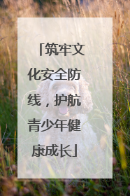 筑牢文化安全防线，护航青少年健康成长