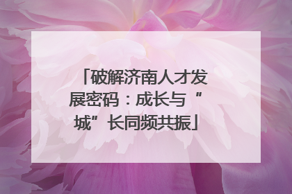 破解济南人才发展密码：成长与“城”长同频共振