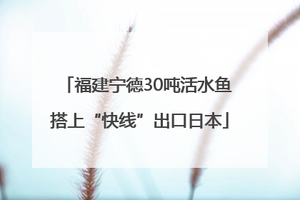 福建宁德30吨活水鱼搭上“快线”出口日本