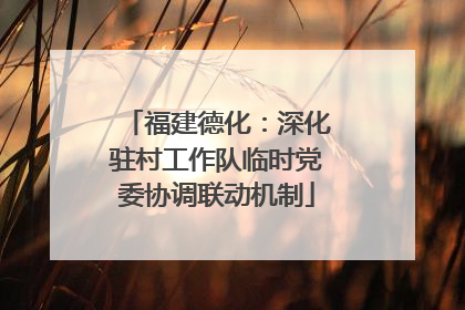 福建德化：深化驻村工作队临时党委协调联动机制