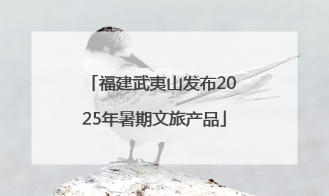福建武夷山发布2025年暑期文旅产品