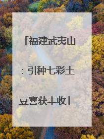 福建武夷山：引种七彩土豆喜获丰收