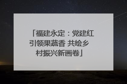 福建永定：党建红引领果蔬香 共绘乡村振兴新画卷