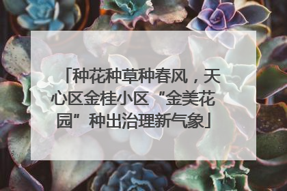 种花种草种春风，天心区金桂小区“金美花园”种出治理新气象
