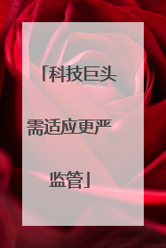 科技巨头需适应更严监管